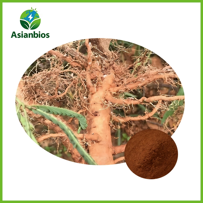 Mimosa Root Bark Extract
